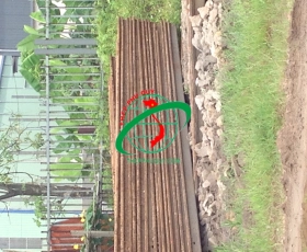 Thép cọc cừ Larsen 3